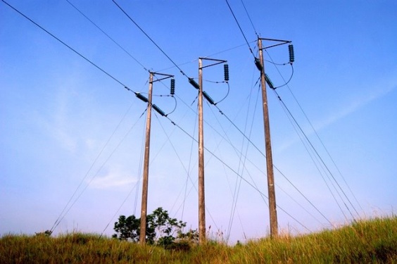 ENELAR ESP realizará cambio de postes en la línea Caño Limón